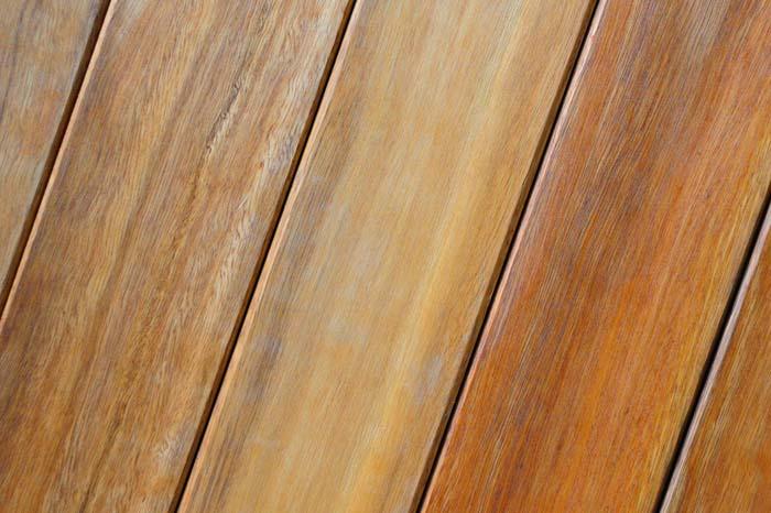 Spotted Gum Image